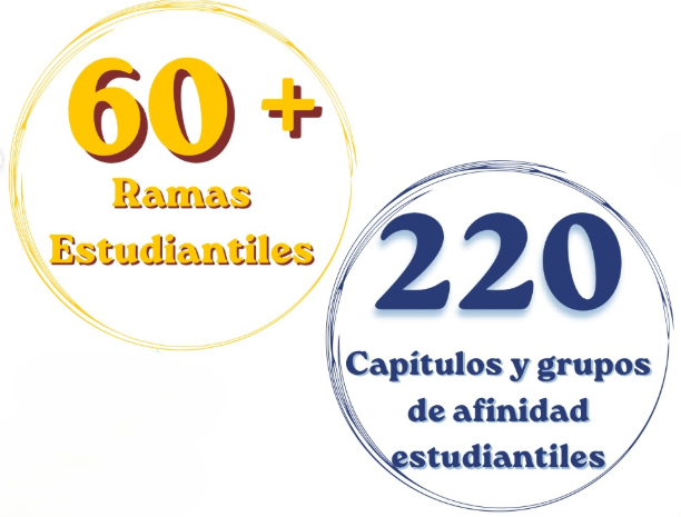 Captura de pantalla 2026-07-07 155952
